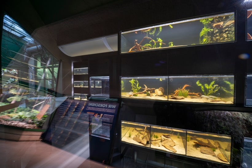 Forschungsstation im Zoo Zürich.