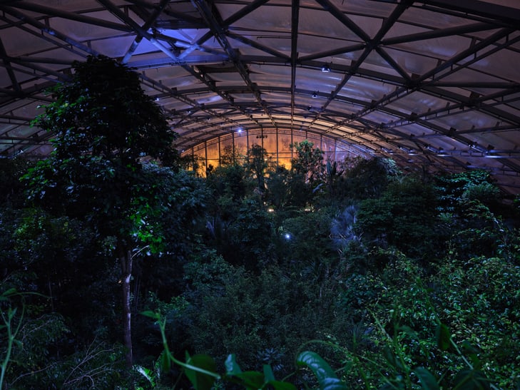 Event Masoala by Night im Masoala Regenwald des Zoo Zürich.