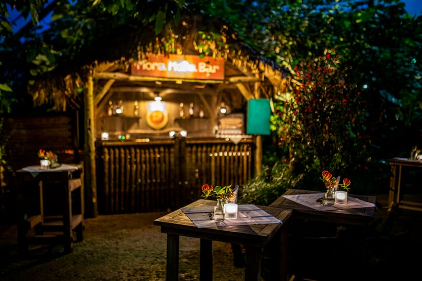 Event Masoala by Night im Masoala Regenwald des Zoo Zürich.
