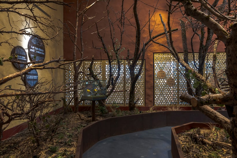 Blick in den Insektenwald im Zoo Zürich, März 2025.