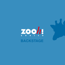 Visual Podcast Zoo Zürich Backstage.