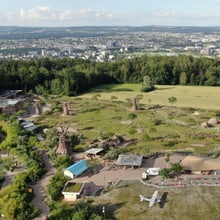 Drohnenaufnahme der Lewa Savanne im Zoo Zürich.