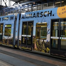 Zoo-Sondertram Lewa Savanne im VBZ-Depot.