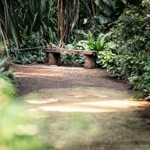 Leere Bank im Masoala Regenwald des Zoo Zürich
