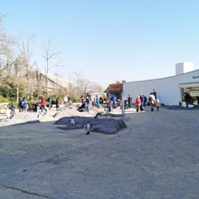 Tag der Zoo-Wiedereröffnung am 1.3.2021.