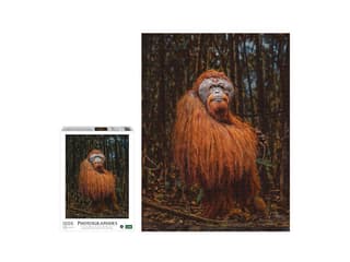 Orang-Utan Puzzle von Ambassador