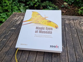Magic Eyes of Masoala