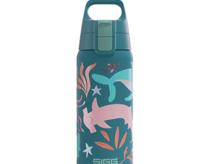 SIGG Trinkflasche SHIELD THERM ONE 5DL