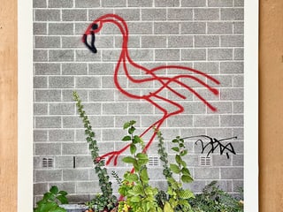 Nägeli "Flamingo" Poster, handsigniert