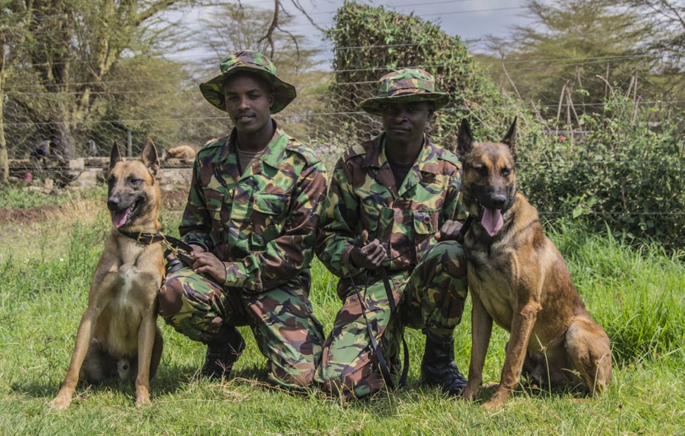 Tracker Dogs mit ihren Hundeführern.