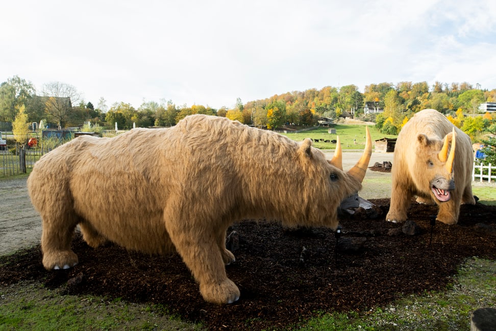 Wollnashörner in der Eiszeitausstellung «Kaltgestellt» im Zoo Zürich.