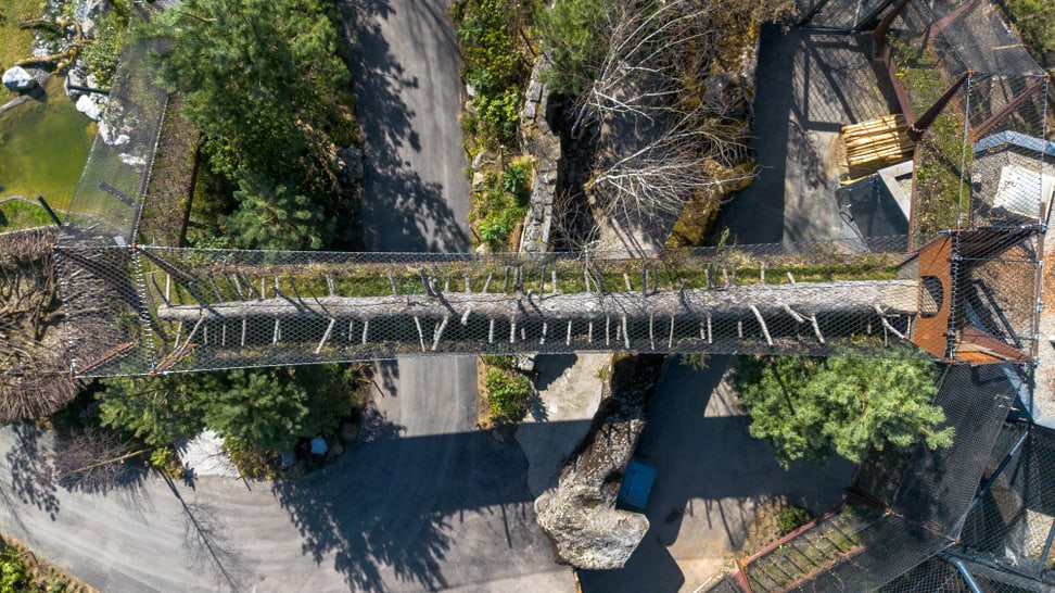 Drohnenaufnahme des Catwalks, dem Verbindungssteg im Lebensraum Panthera im Zoo Zürich.