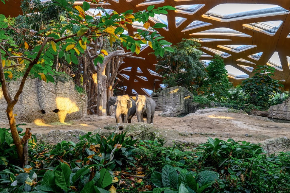 Innenanlage des Kaeng Krachan Elefantenparks im Zoo Zürich.