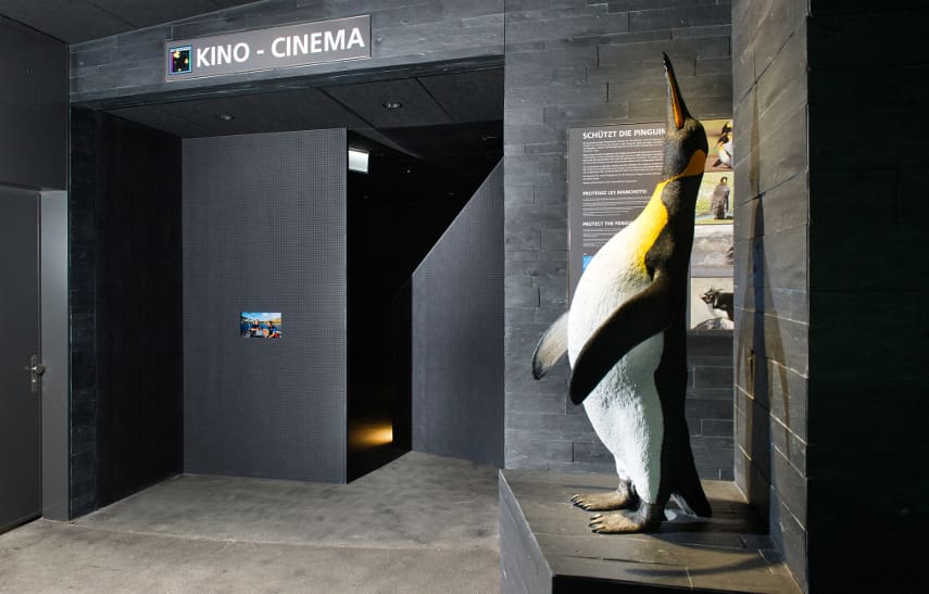 Kleinkino im Aquarium des Zoo Zürich.