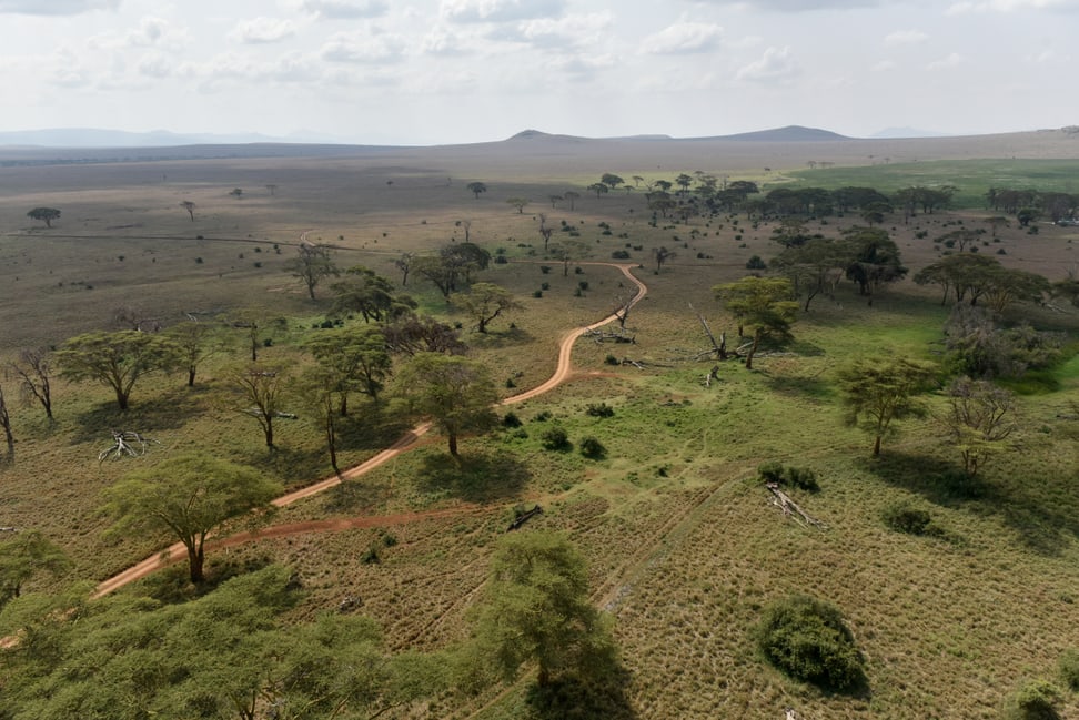 Lewa Wildlife Concervancy aus der Luft. 