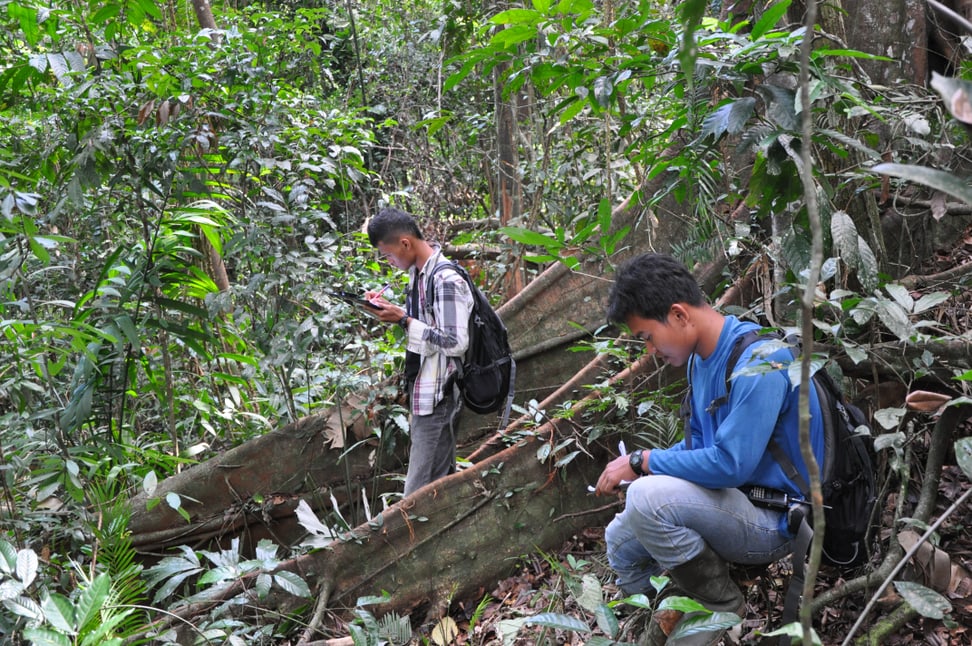 Forschung Sumatra Lebensraum Factsheet