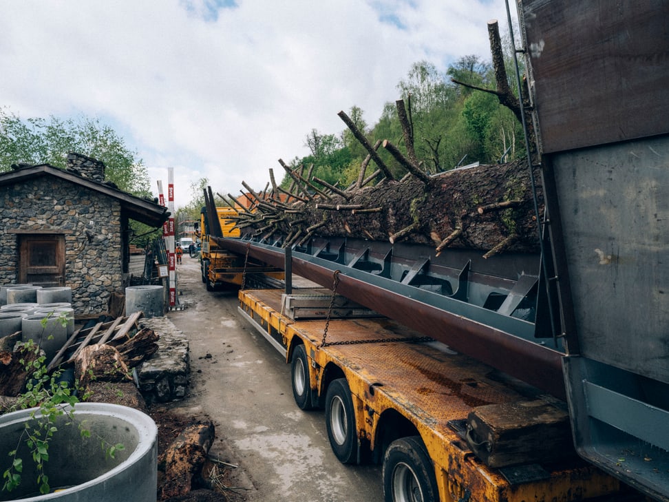 Montage des «Catwalks» auf der Panterra-Baustelle im Zoo Zürich.