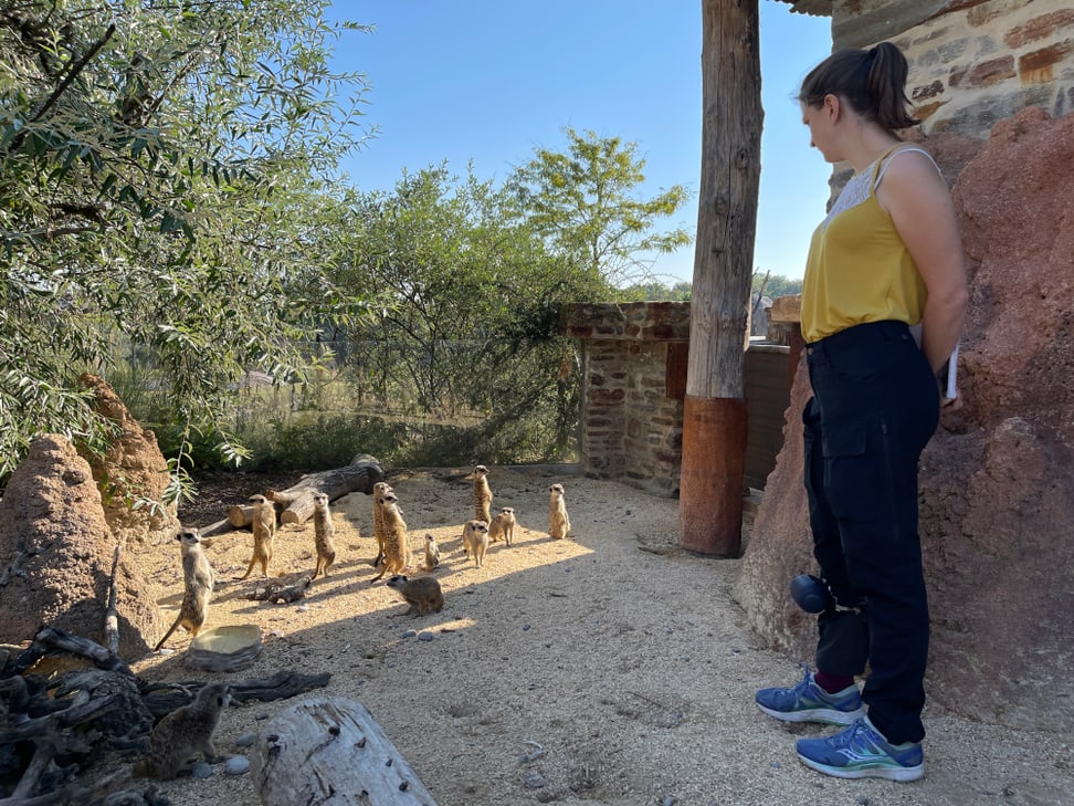 Die Doktorandin Nikola Falk von der Universität Zürich bei ihrer Forschung im Zoo Zürich. 