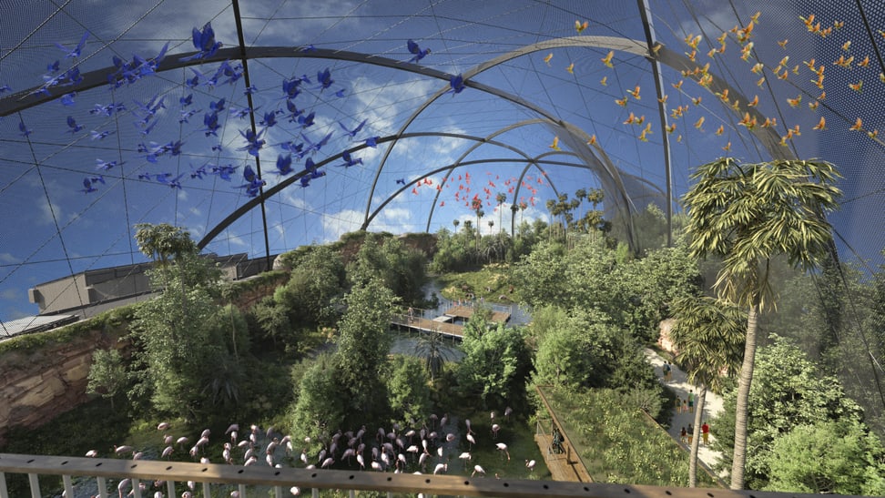 Visualisierung der geplanten Pantanal Voliere im Zoo Zürich.