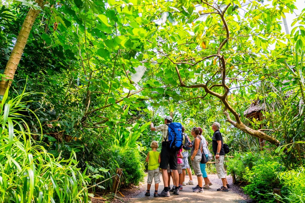 Besucher im Masoala Regenwald im Zoo Zürich