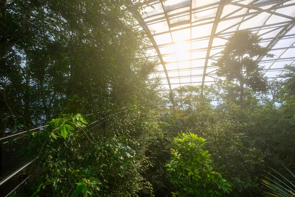 Masoala Regenwald im Zoo Zürich im Februar 2023.