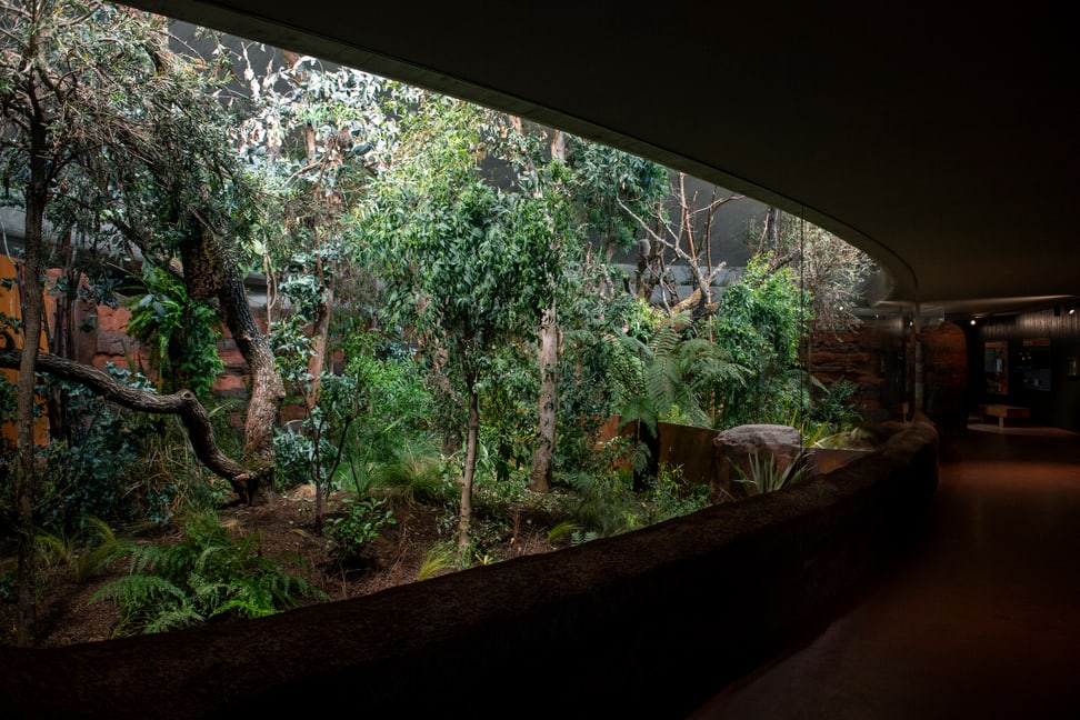 Das neu bepflanzte Australienhaus im Zoo Zürich. 