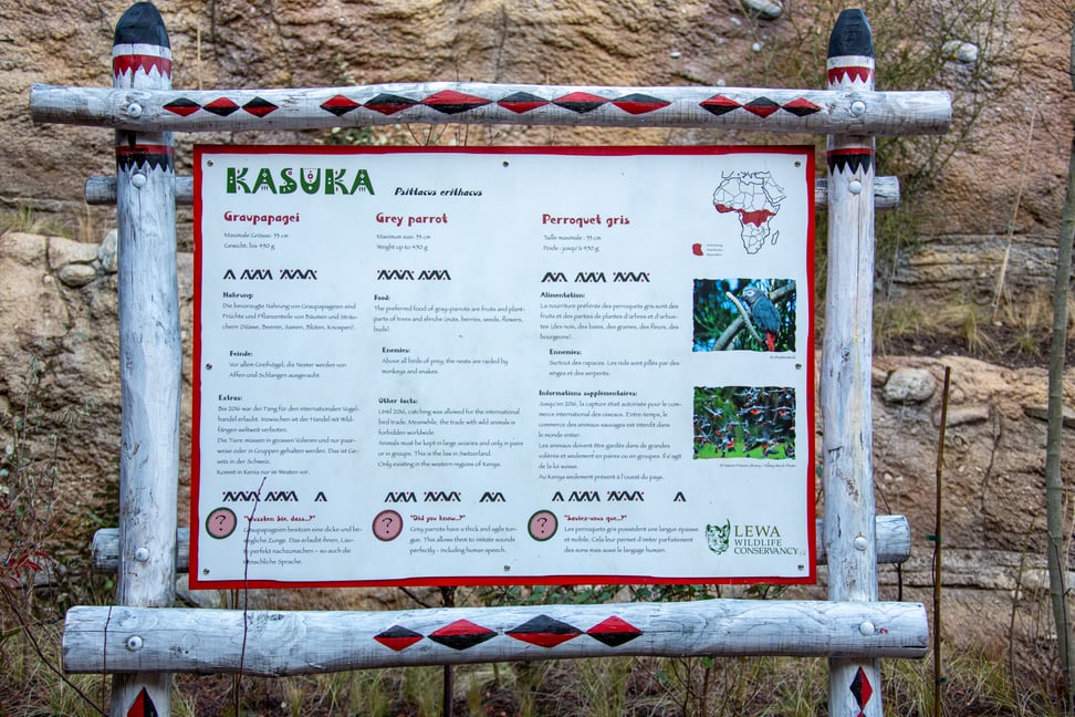 Schild Graupapageien in der Lewa Savanne.