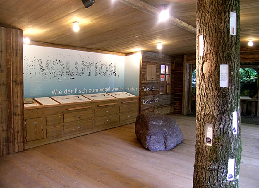 Ausstellung Evolution in der Forscherhütte im Zoo Zürich.