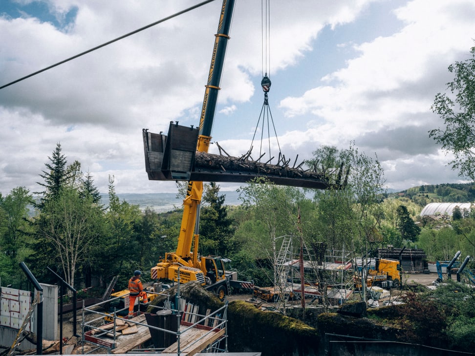 Montage des «Catwalks» auf der Panterra-Baustelle im Zoo Zürich.