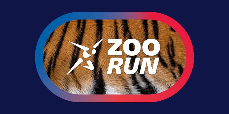 Visual zum Weltklasse Zürich Zoorun 2025.