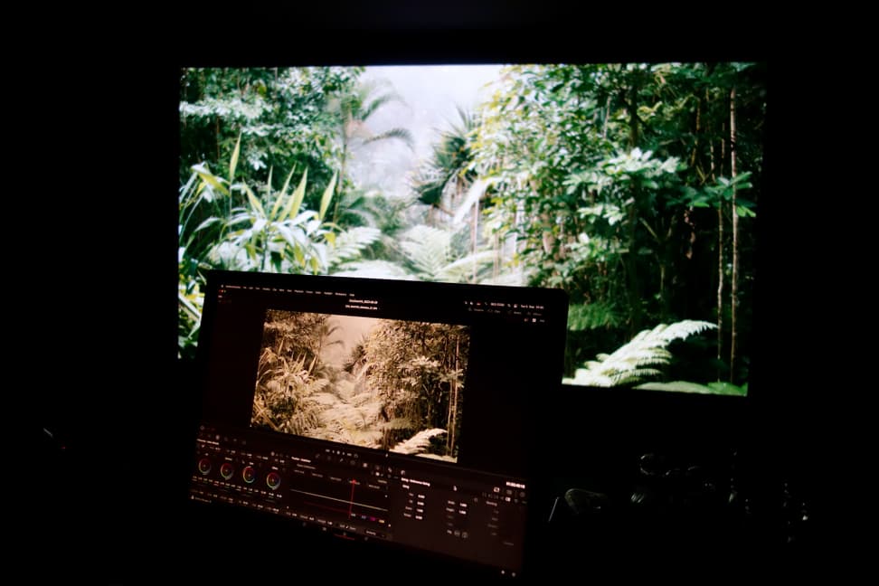 Color grading des Films «Der Unsichtbare Zoo», Szene Ökosystem-Halle «Masoala Regenwald», Zoo Zürich 2024 © Pantera Film GmbH