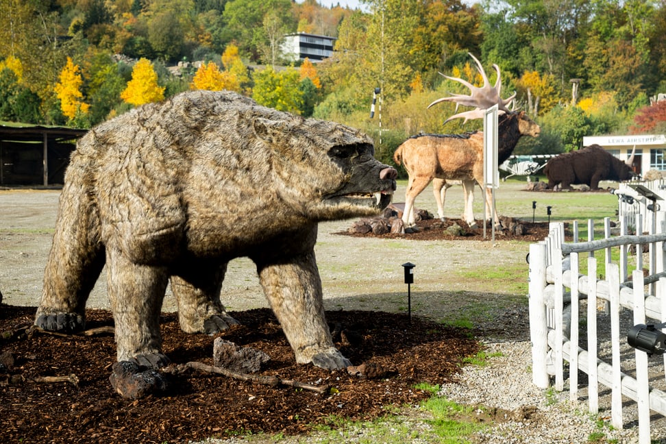 Höhlenbär in der Eiszeitausstellung «Kaltgestellt» im Zoo Zürich.