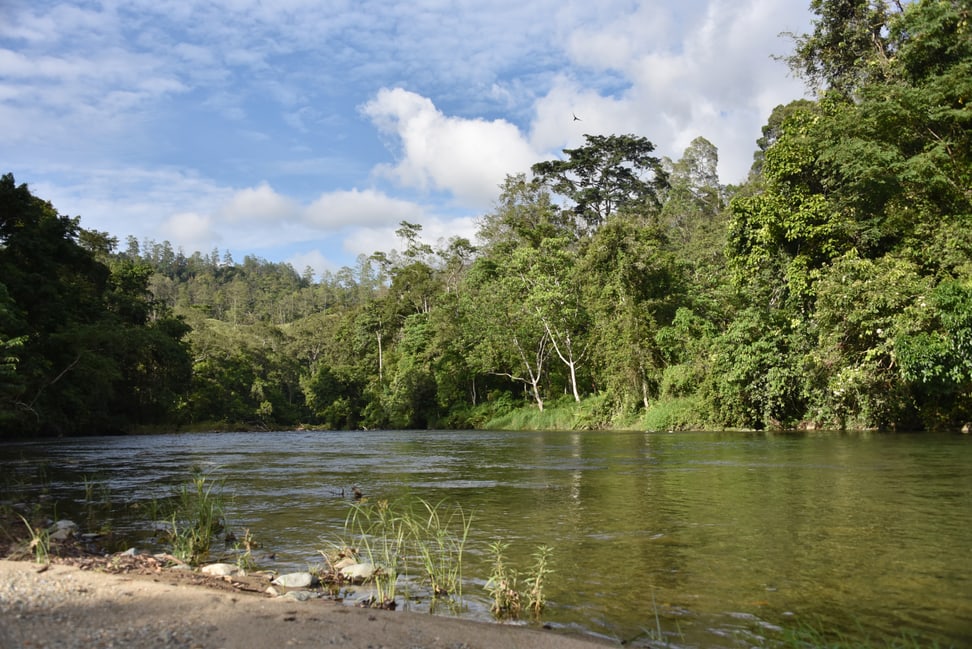 Regenwald Sumatra Factsheet