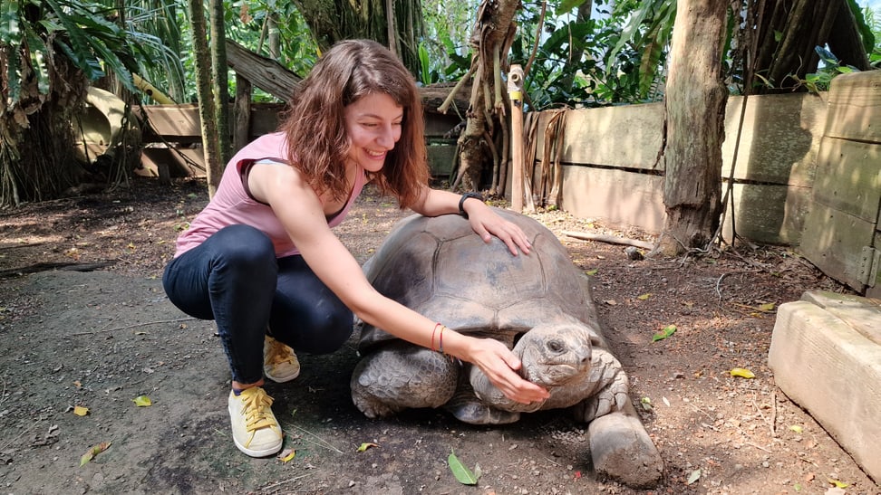 Forscherin Gözde Cilingir mit Aldabra-Riesenschildkröte im Zoo Zürich.