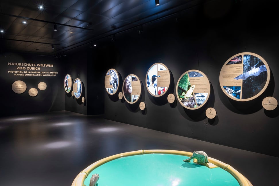 Ausstellung im neuen Naturschutzzentrum des Zoo Zürich.
