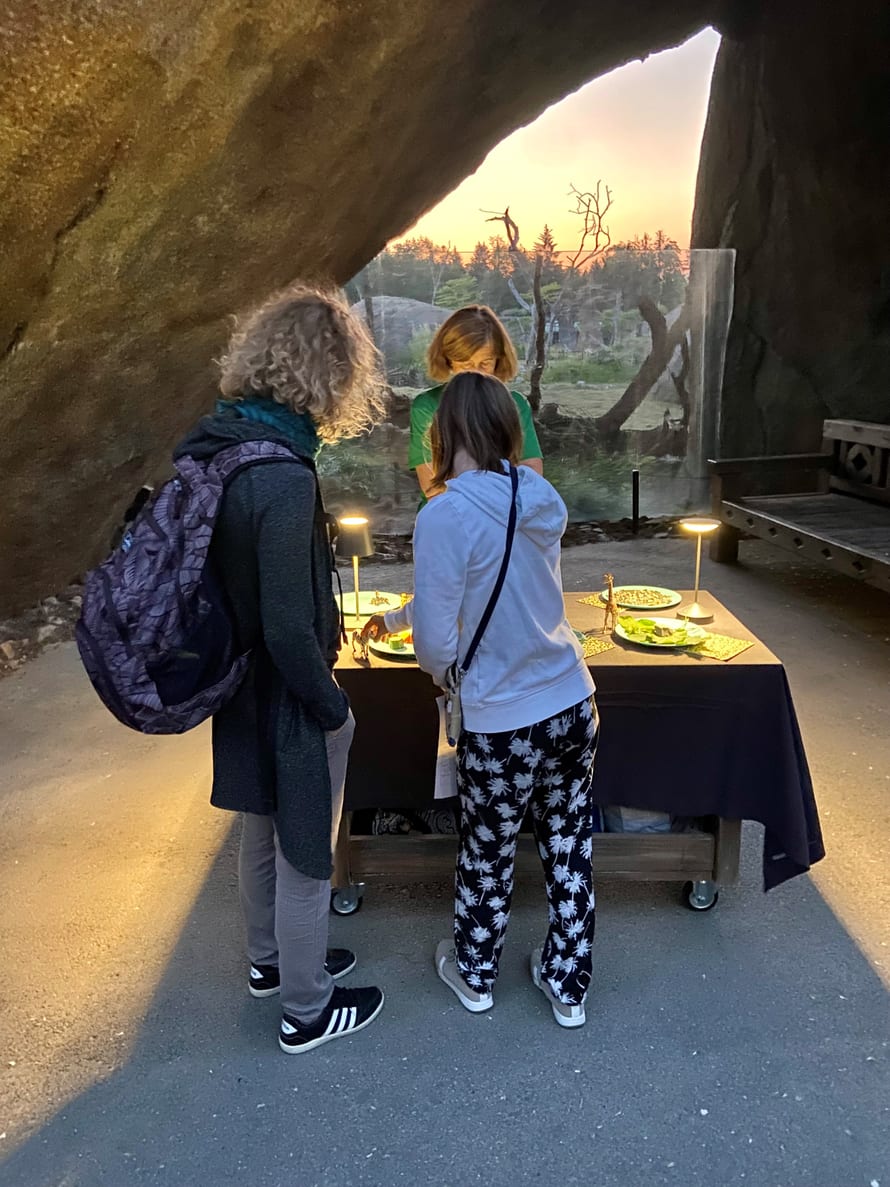 Stimmungsbild der Dreamnight at the Zoo im Zoo Zürich am 2. Juni 2023.
