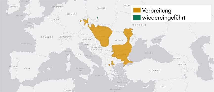 Verbreitungskarte Europäischer Ziesel
