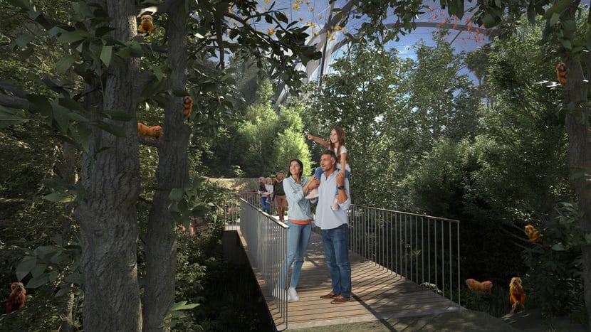 Rendering der geplanten Pantanal Voliere im Zoo Zürich, Blick auf Waldweg.