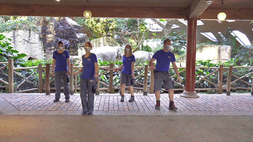 Making-of des Jerusalema-Tanzvideos im Zoo Zürich.
