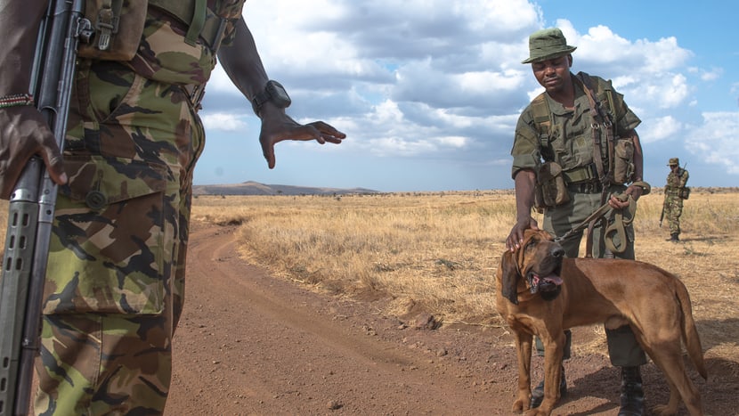 Anti-Wilderer-Einheit im Lewa Wildlife Conservancy. 