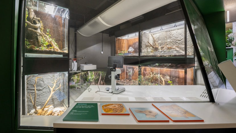 Forschungsstation im Zoo Zürich.