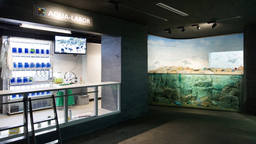 Aqualabor und vermüllte Küste im Aquarium des Zoo Zürich.