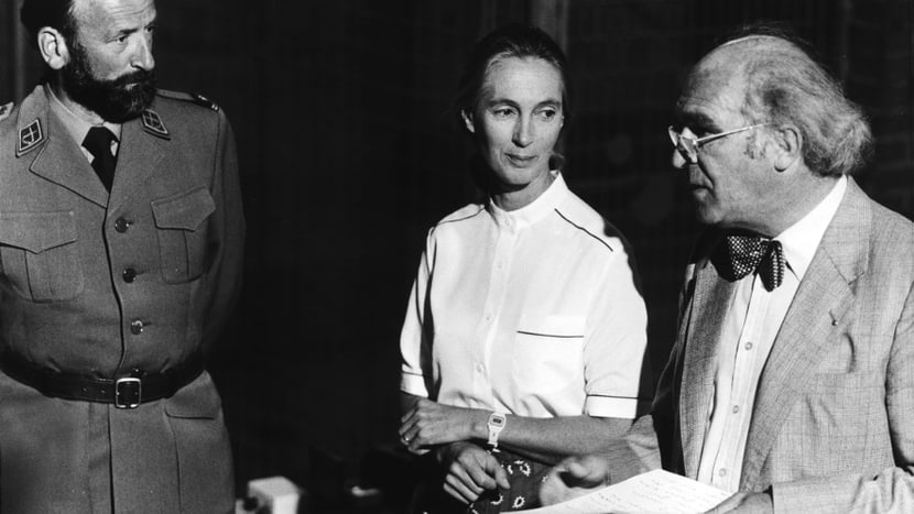 Historische Aufnahme Zoo Zürich mit Jane Goodall