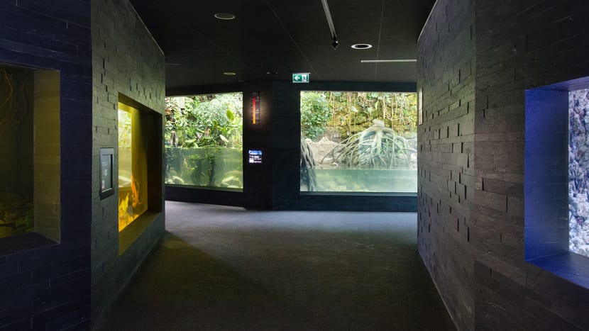 Aquarium im Zoo Zürich.