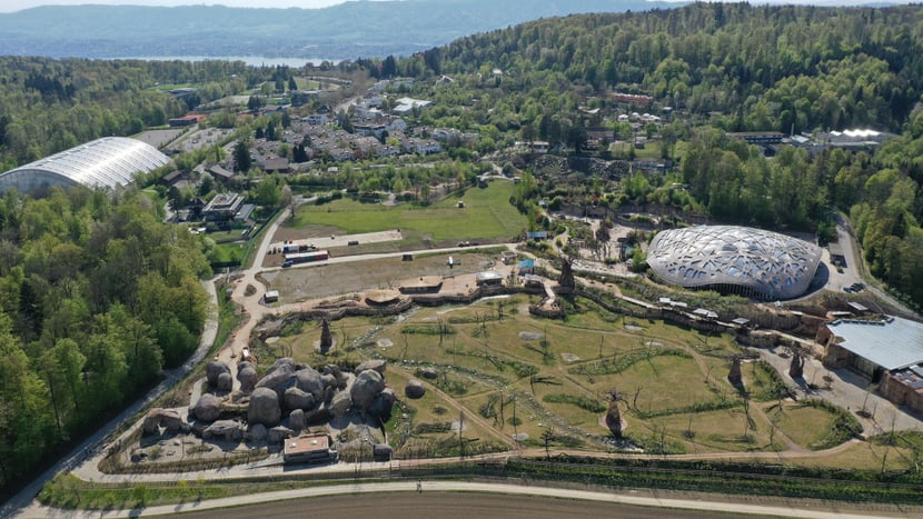 Luftaufnahme Lewa Savanne im Zoo Zürich.