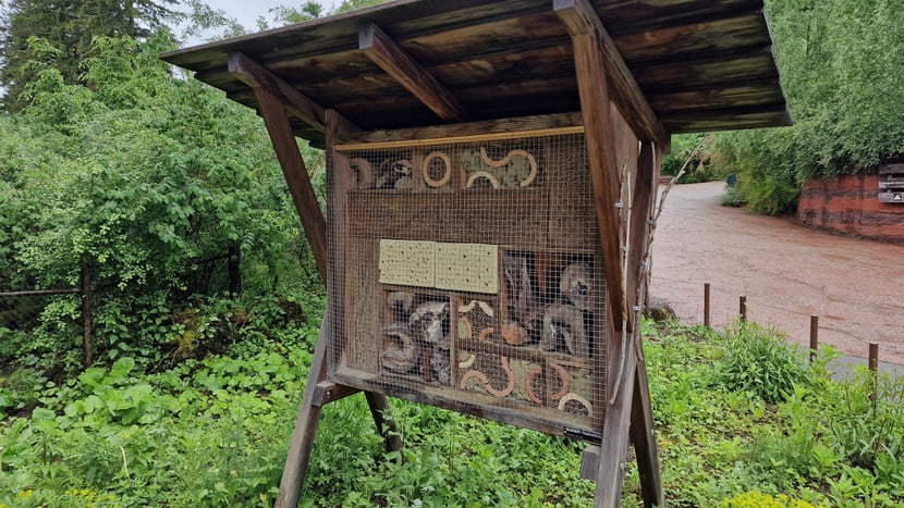 Wildbienenhotel neben der Australienanlage im Zoo Zürich.