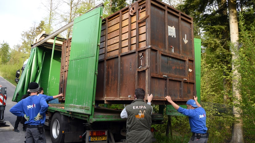 Nashorn-Transportbox im Zoo Zürich