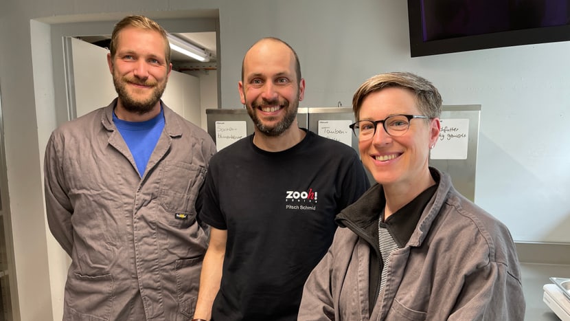 Bild zur 4. Folge «Papageien in Ornis» der 3. Staffel des Podcasts Zoo Zürich Backstage.