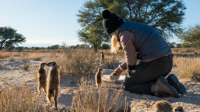 Forscherin im Kalahari Research Centre in Südafrika. 