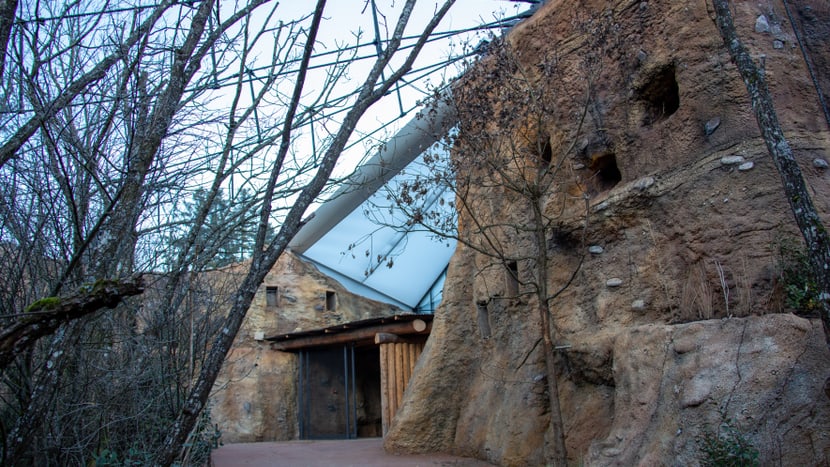 Graupapageien-Voliere in der Lewa Savanne.